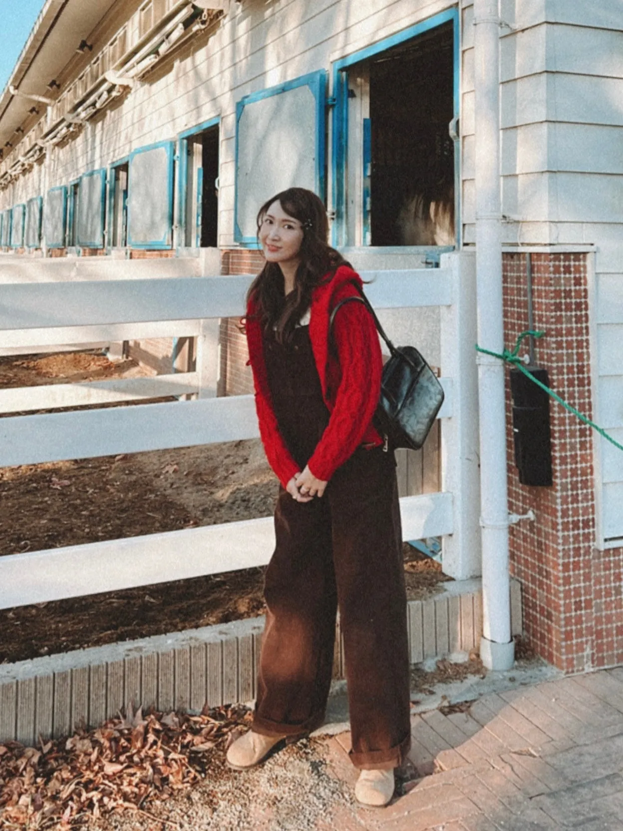 Daily Cable Knit Cardigan