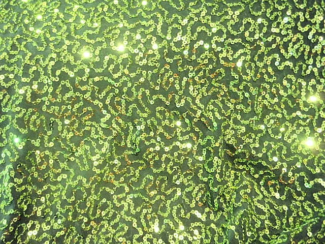 Four Way Stretch Sequin