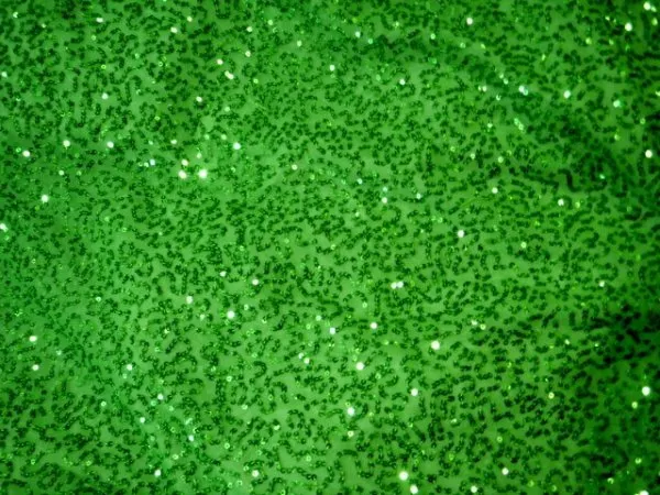 Four Way Stretch Sequin